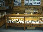 381  IMG_8771.JPG